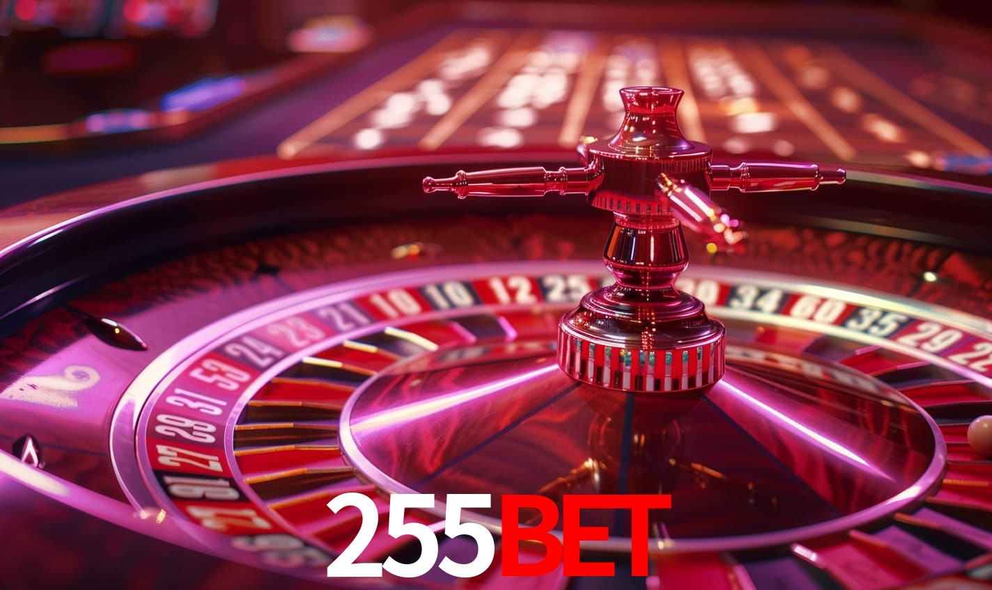 Casino Ao Vivo 255bet