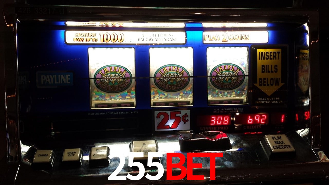 VIP Casino 255bet