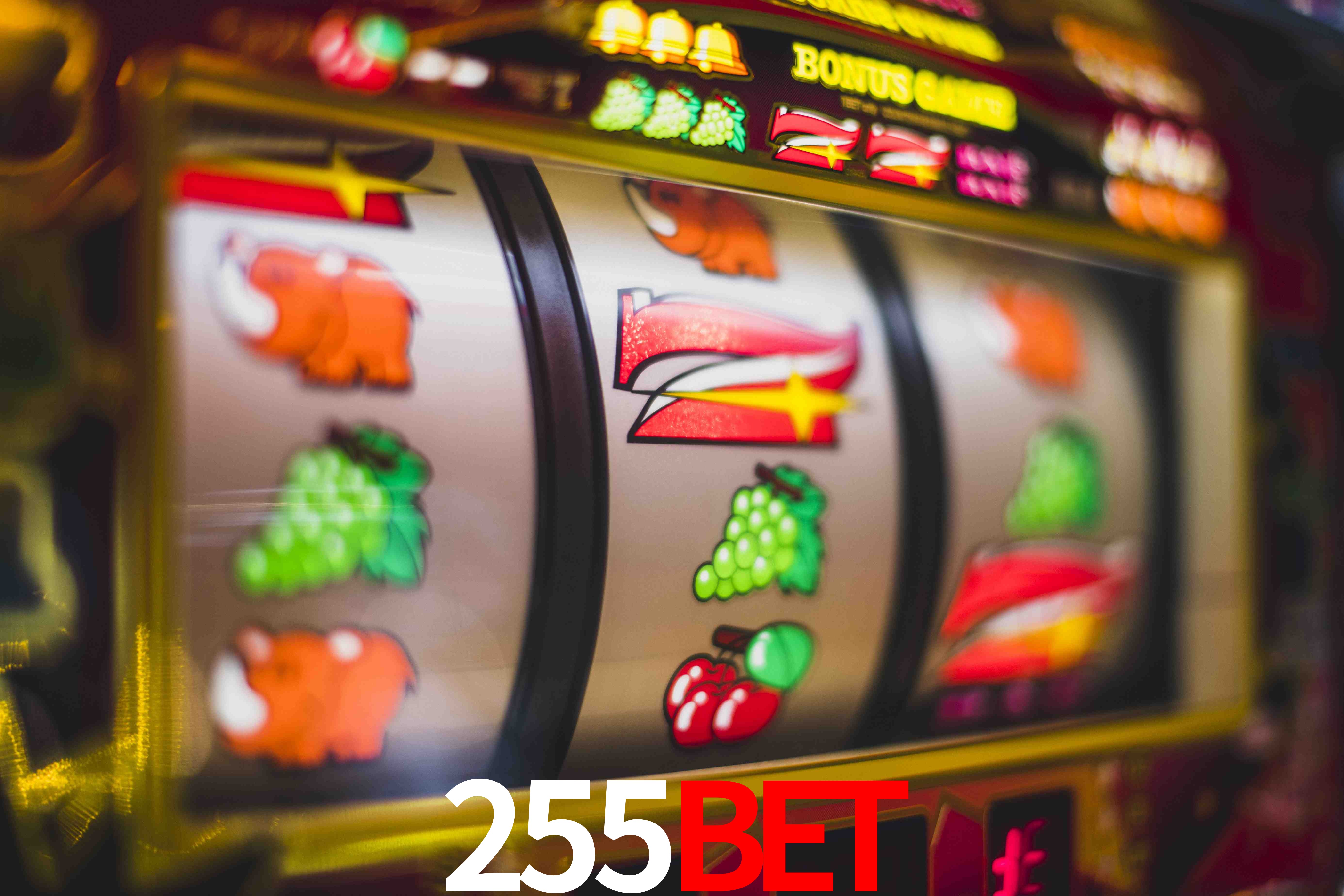 Live Casino 255bet
